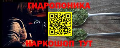 дмт Новозыбков