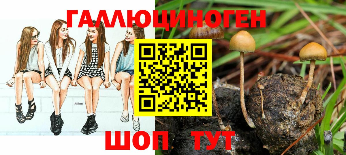 Галлюциногенные грибы MAGIC MUSHROOMS Чапаевск